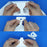 Adhesive Banner Holder Grommet Power Tabs