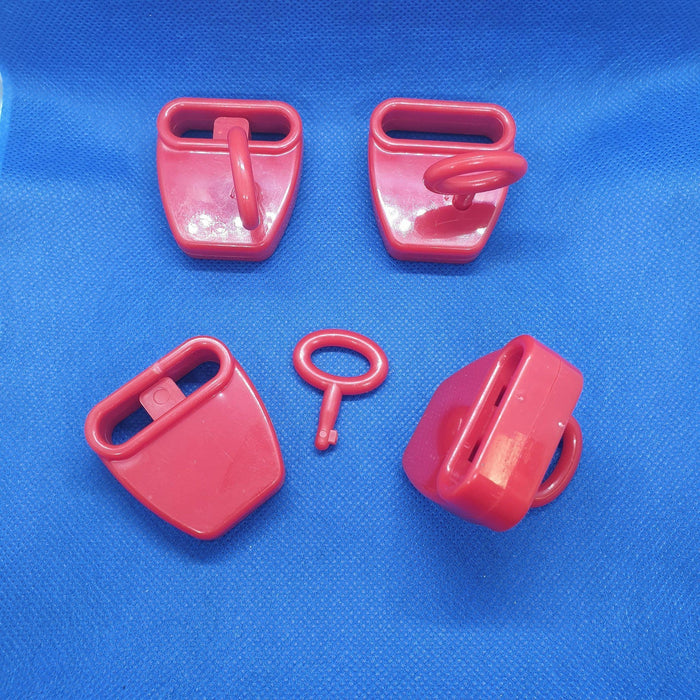 Loop Hoop Lock Loop Hook Security Lock PEG39 — Hang and Display