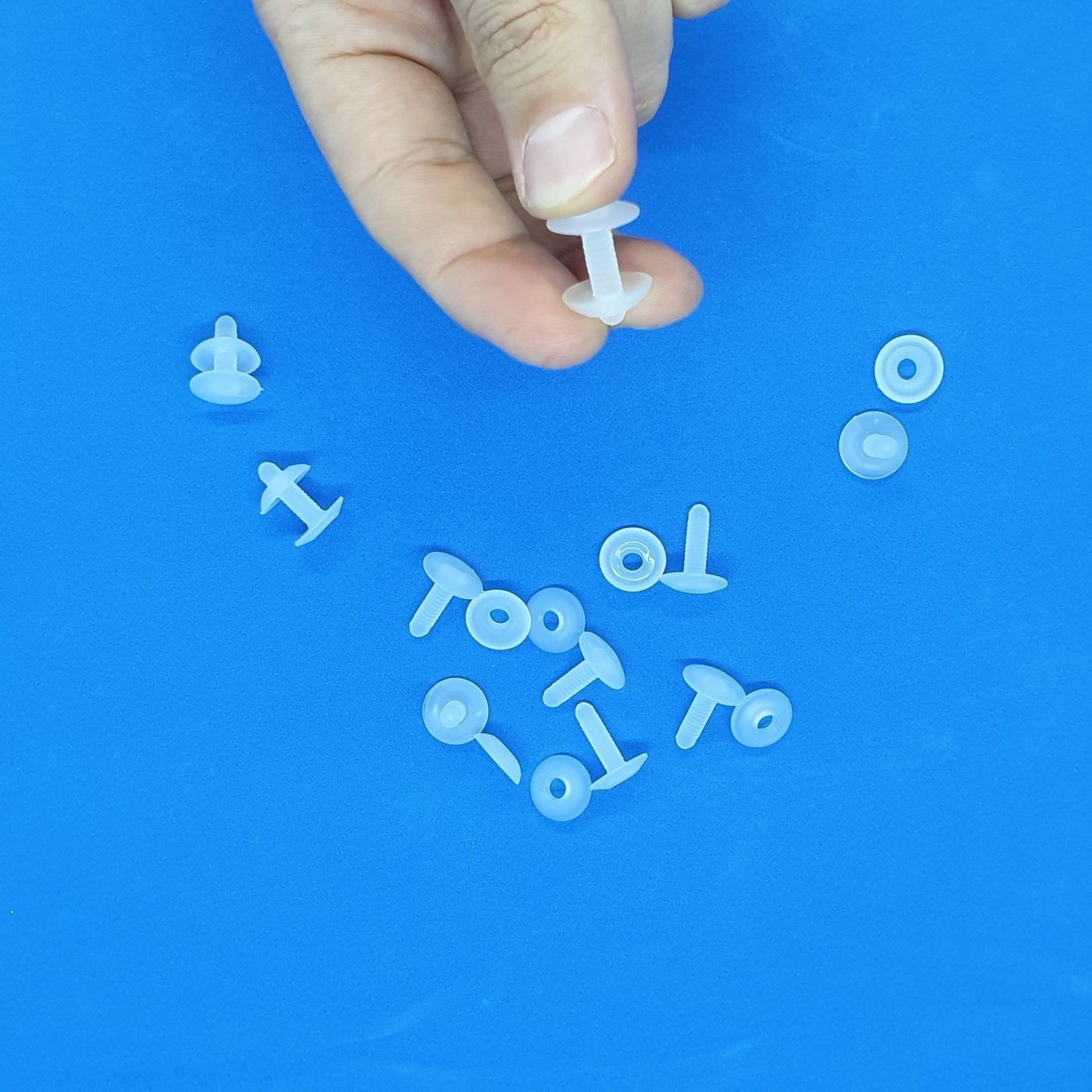 Screws, Rivets & Thumbsnaps — Hang and Display